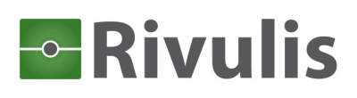 Rivulis